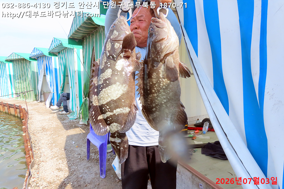 IMG_3686.jpg
