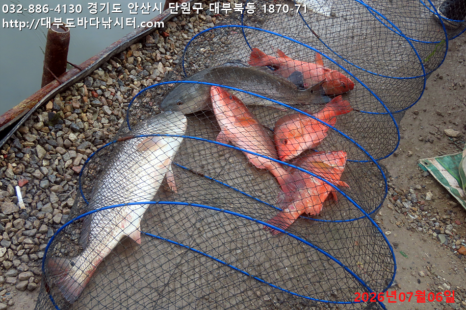 IMG_3855.jpg