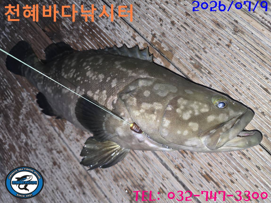 1783635083726.jpg