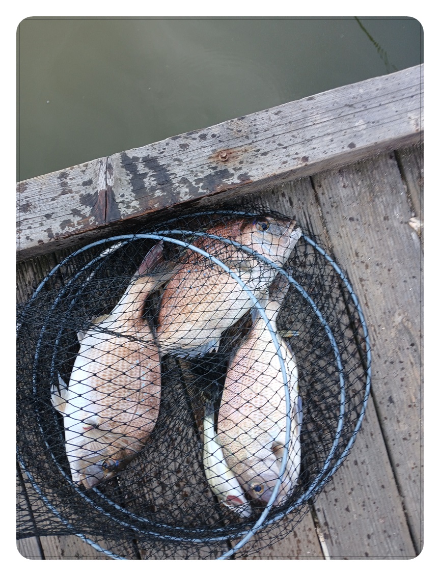 027.jpg