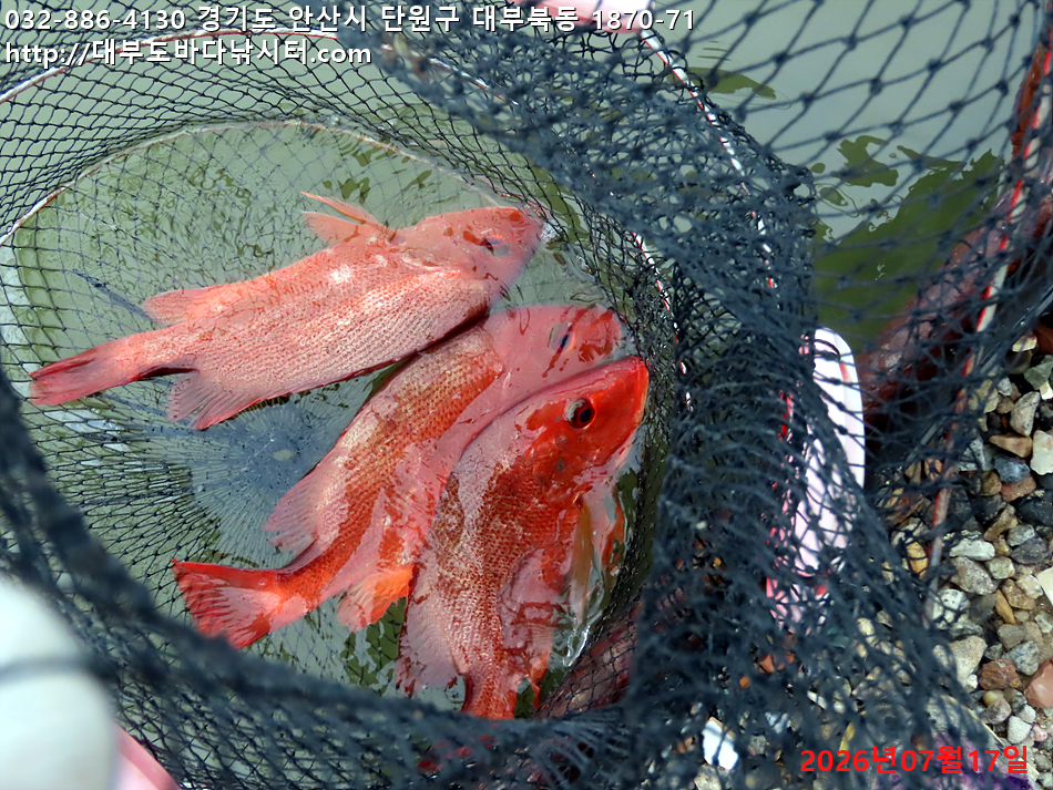 IMG_4067.jpg