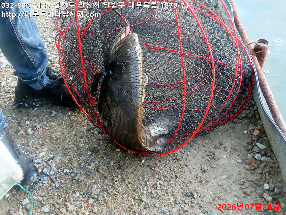IMG_0300.jpg