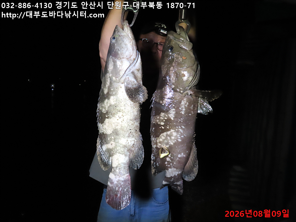 IMG_0786.jpg