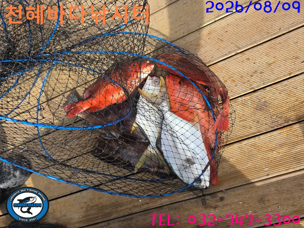 1786269074223.jpg