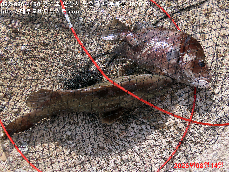 IMG_1016.jpg