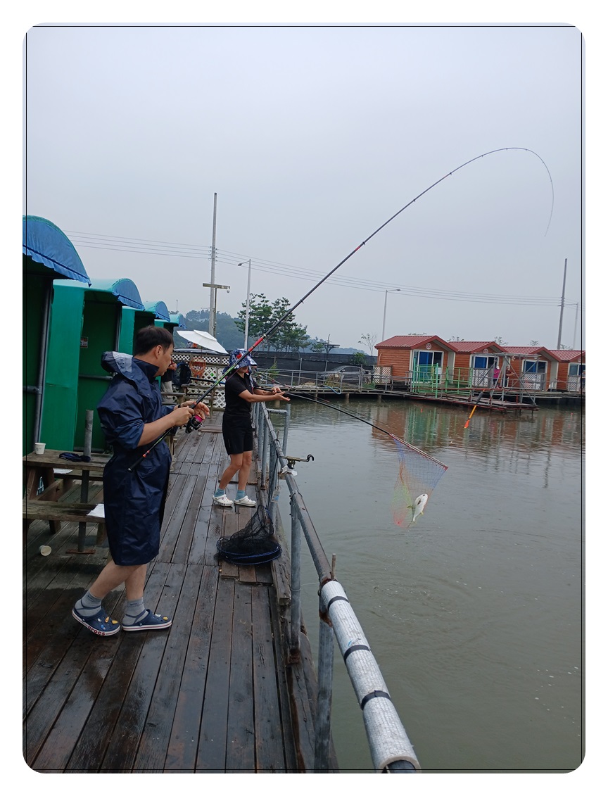 049.jpg