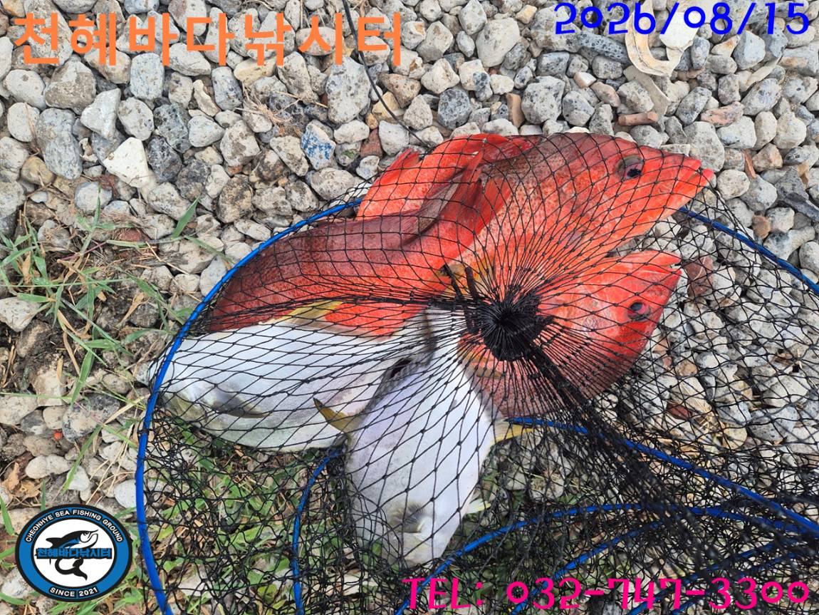 1786787251131.jpg