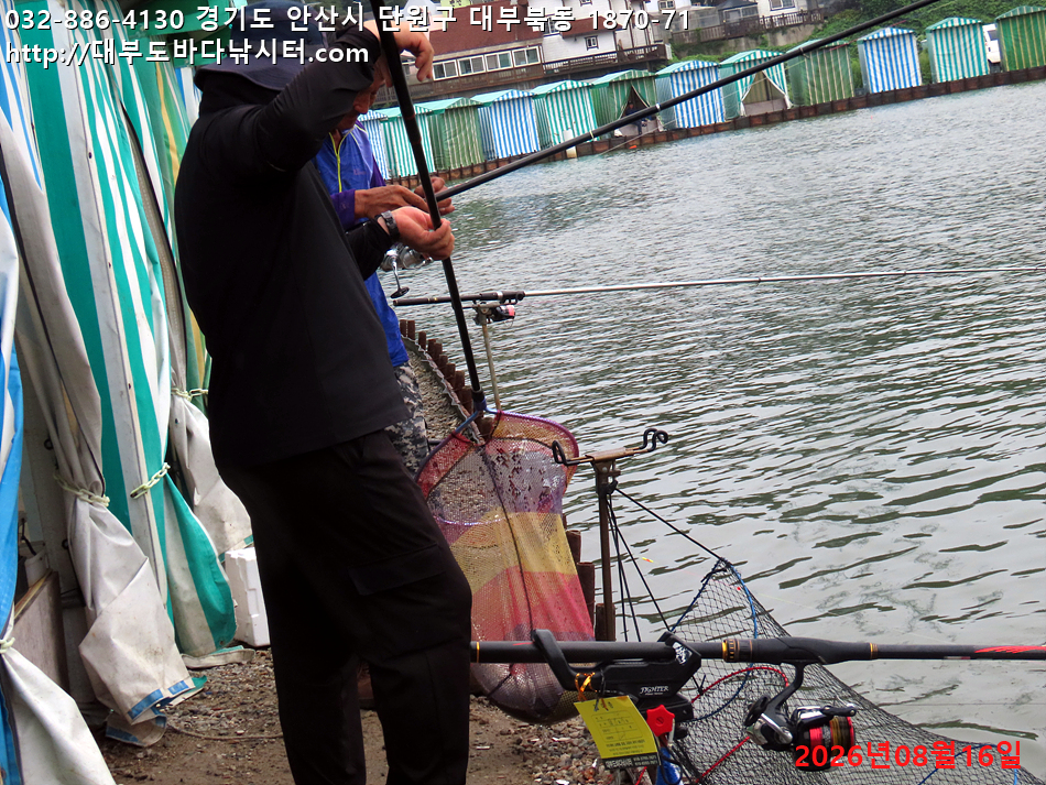 IMG_1129.jpg