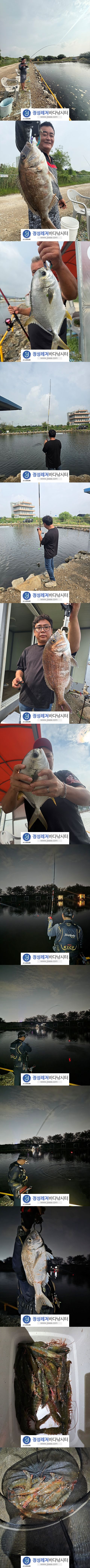 5555.jpg