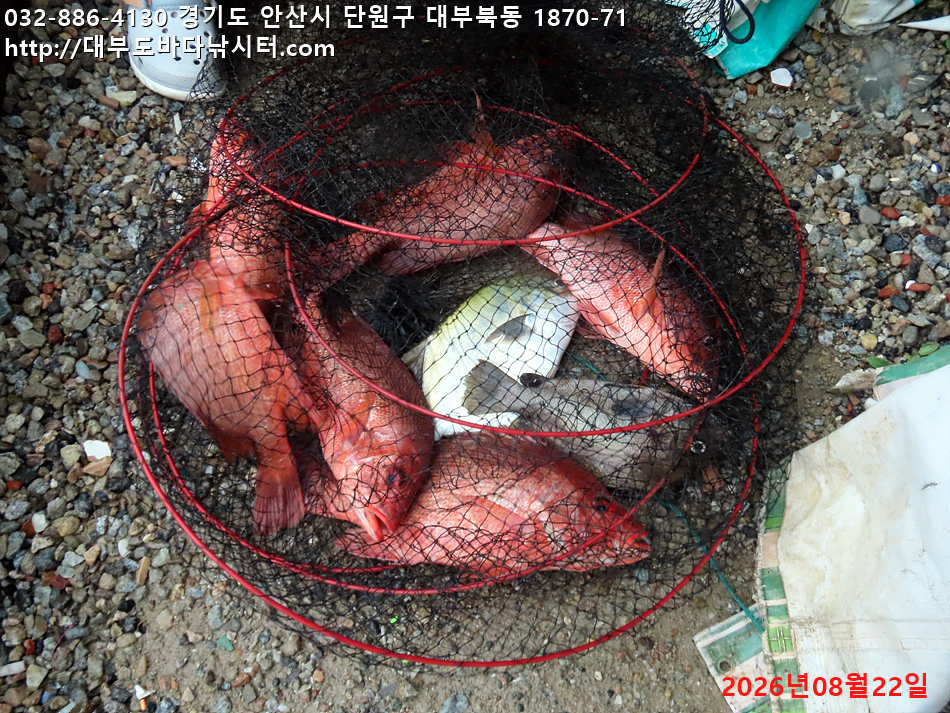 IMG_1515.jpg