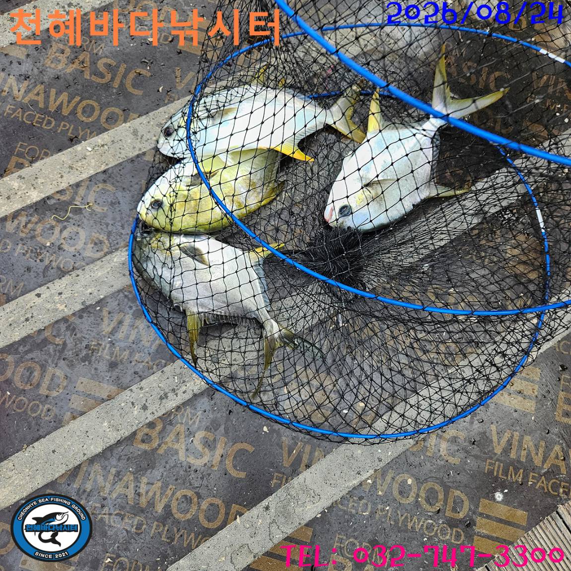 1787566742624.jpg