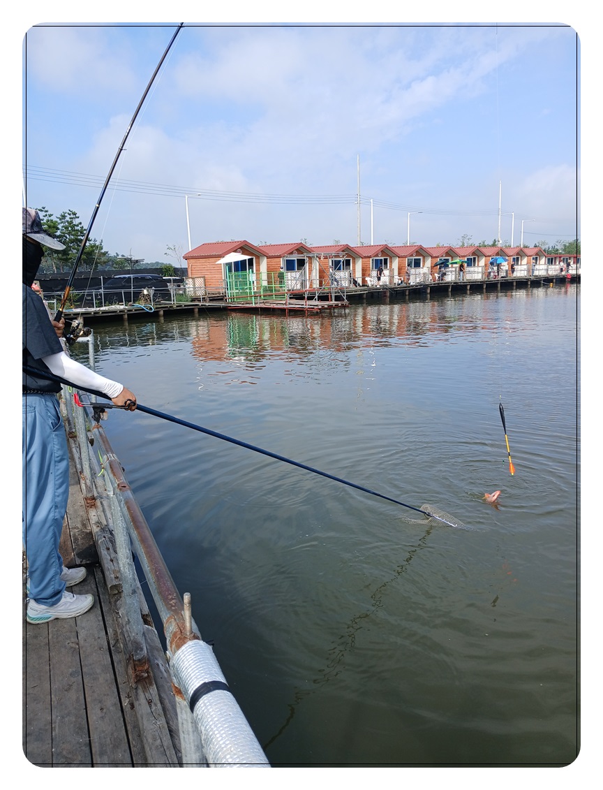 038.jpg