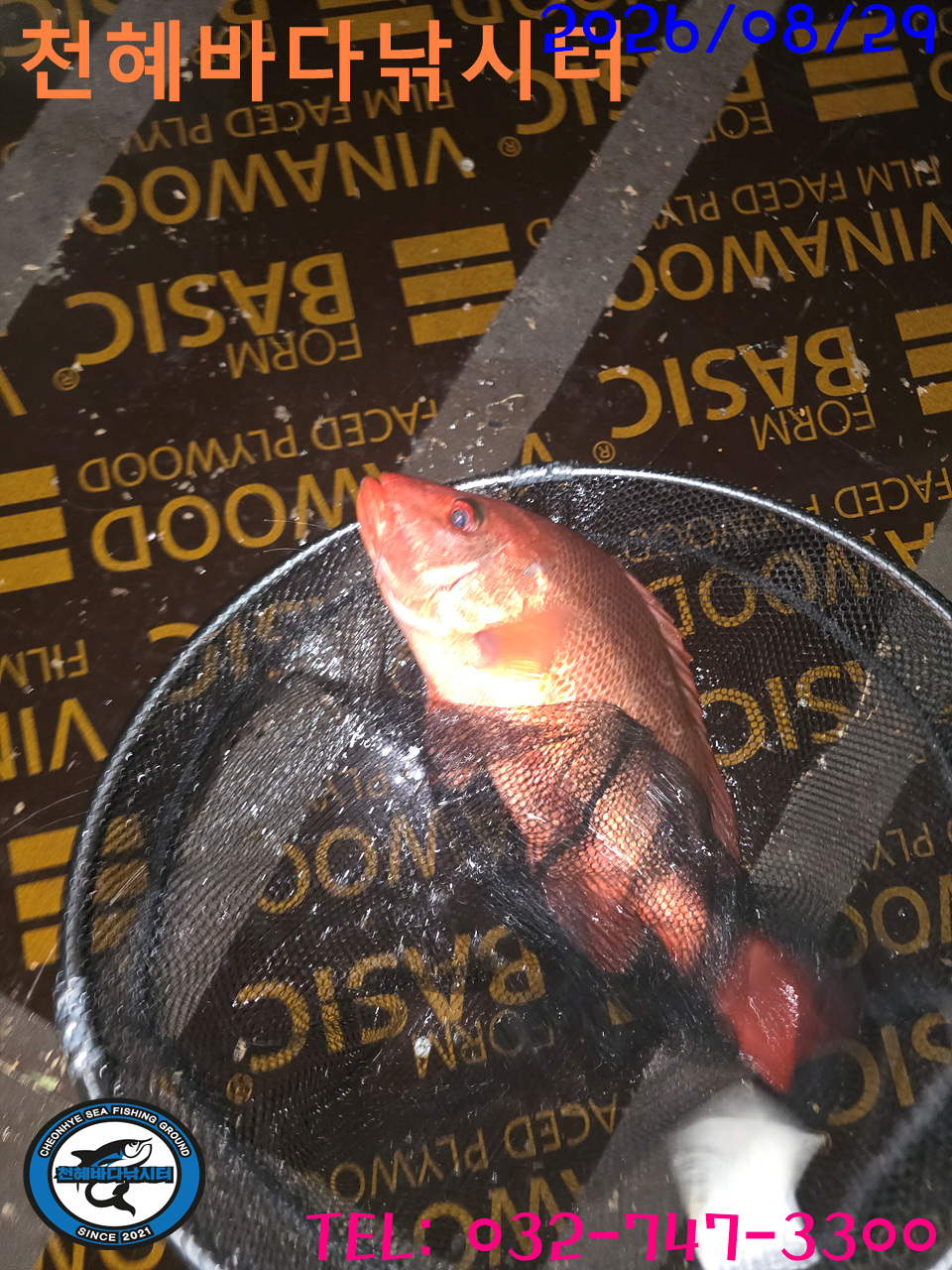 1788041138821.jpg