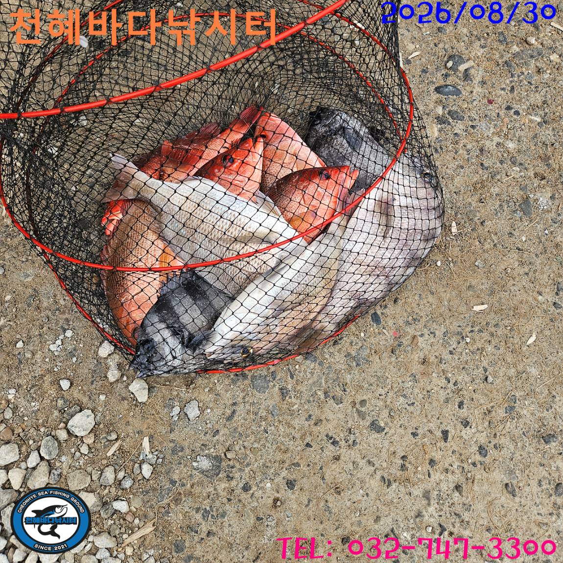 1788084257161.jpg