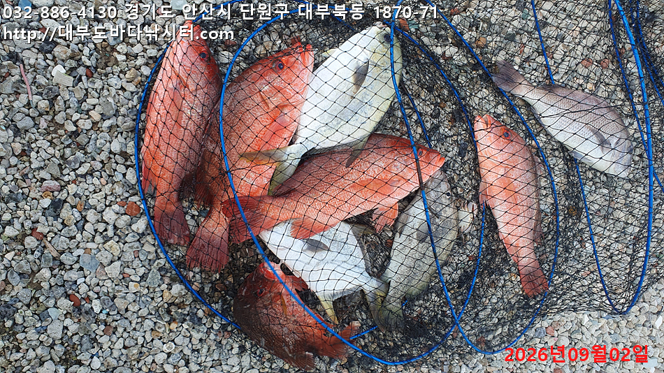 KakaoTalk_20260902_182047803.jpg