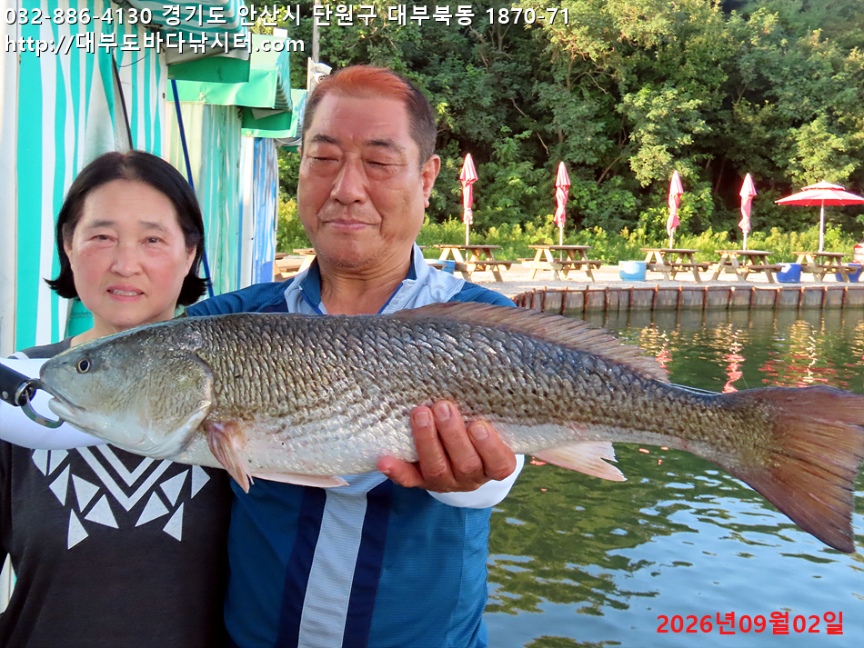 IMG_1951.jpg