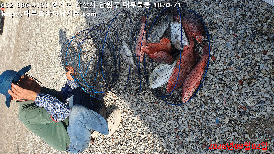 KakaoTalk_20260902_182051968.jpg
