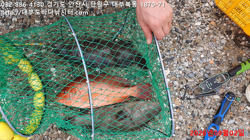 KakaoTalk_20260902_182110755.jpg