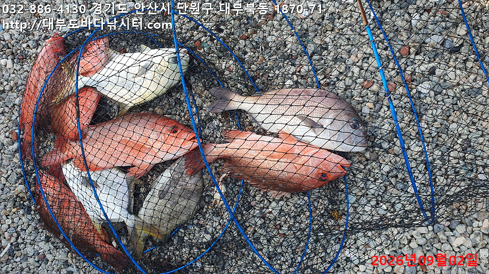 KakaoTalk_20260902_182056949.jpg