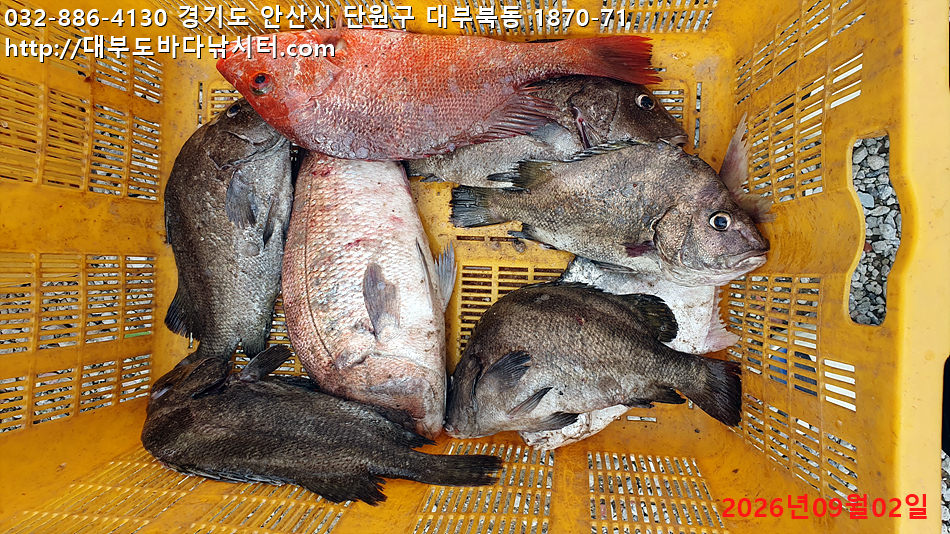KakaoTalk_20260902_182100889.jpg