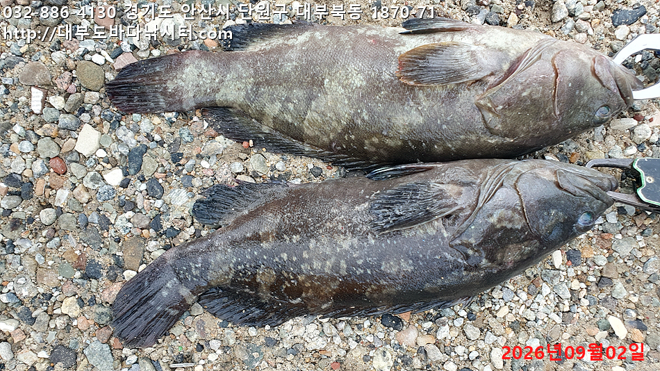 KakaoTalk_20260902_182105327.jpg