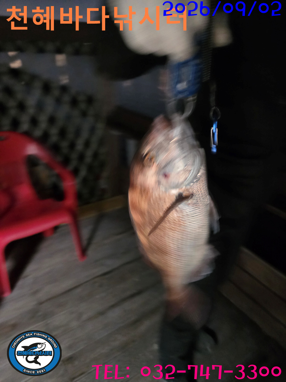 1788386863924.jpg