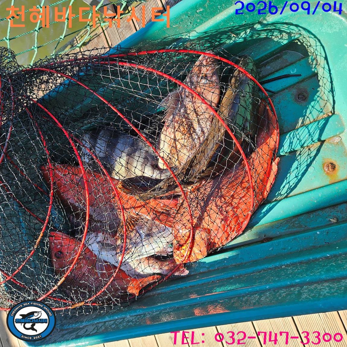 1788516583082.jpg