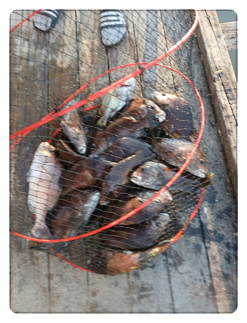 017.jpg
