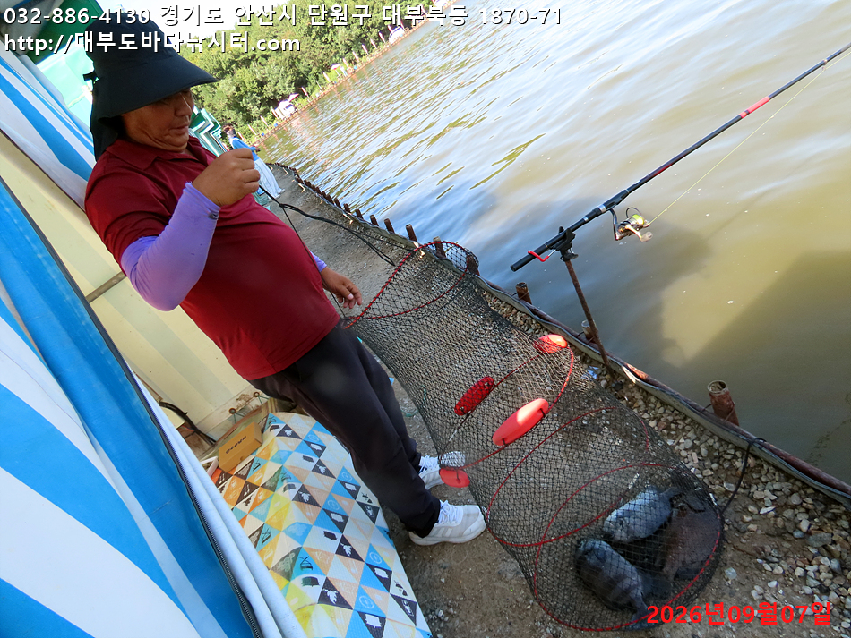 IMG_2195.jpg