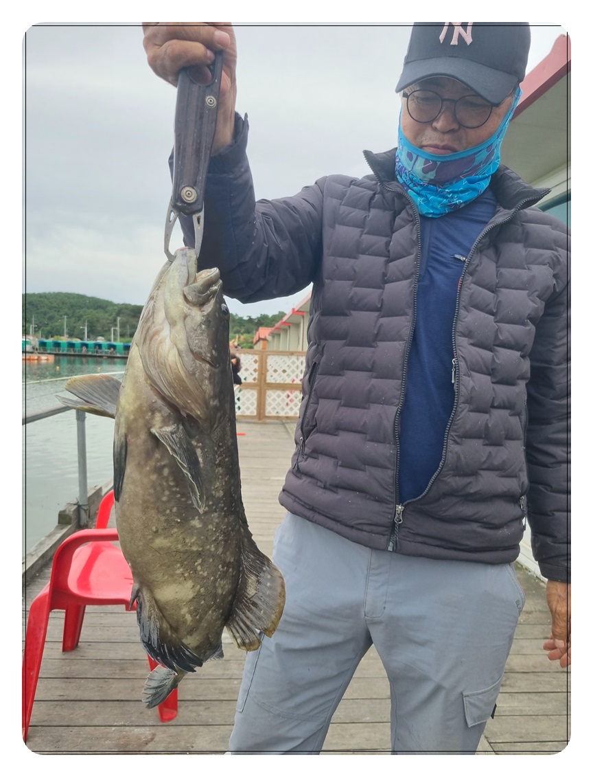 006.jpg