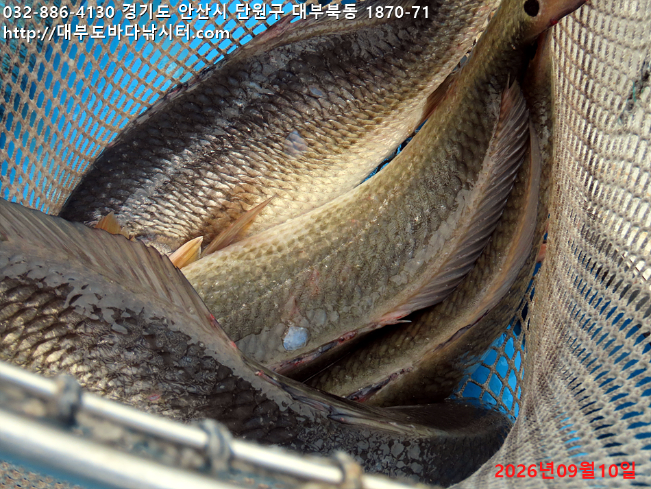 IMG_2260.jpg