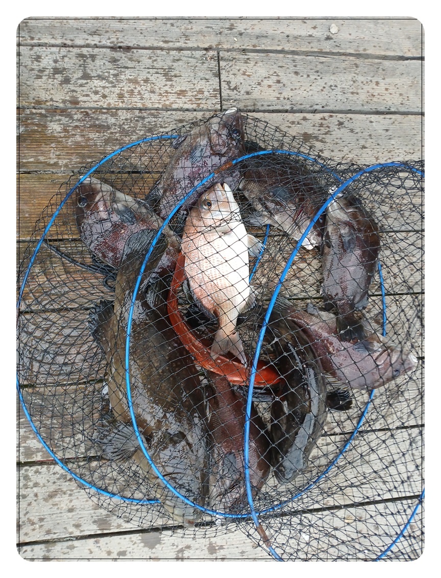 023.jpg