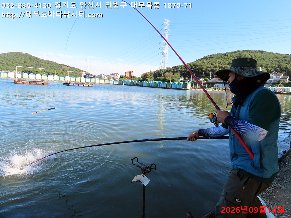 IMG_2562.jpg