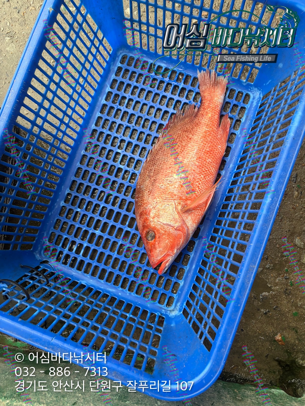 KakaoTalk_Photo_2026-09-14-20-17-09 016.jpeg