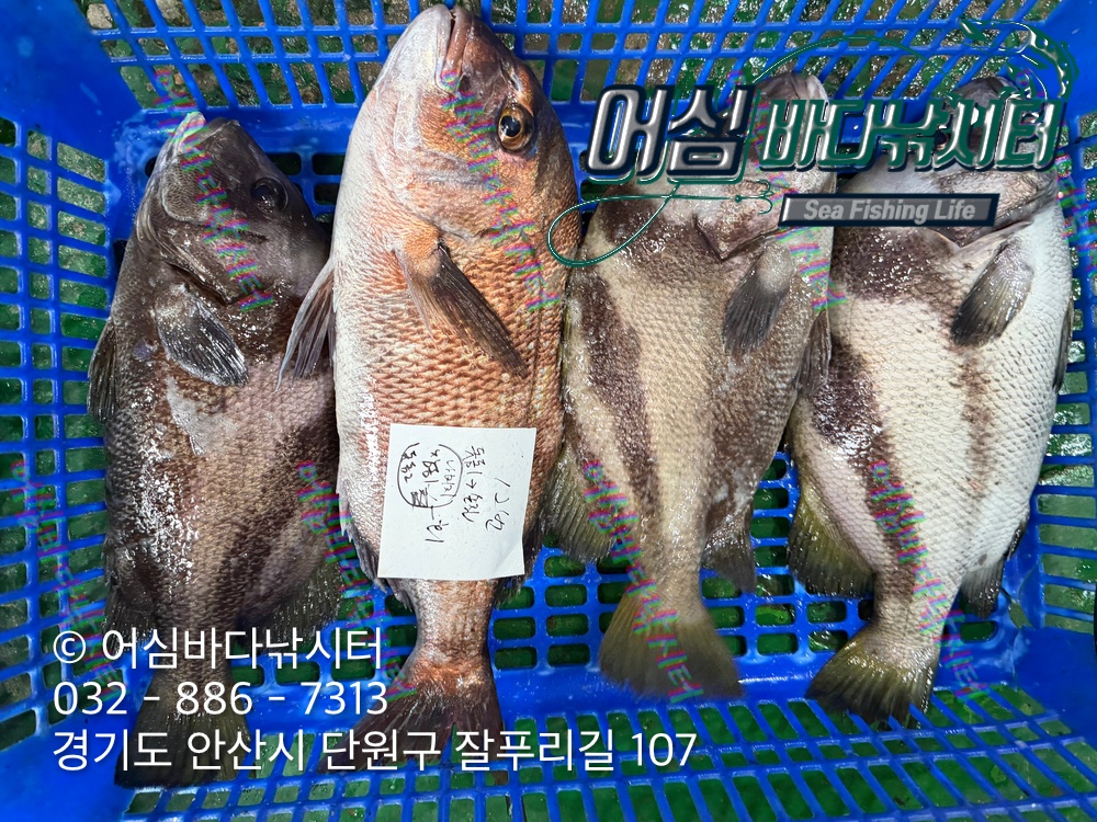 KakaoTalk_Photo_2026-09-14-20-16-59 003.jpeg