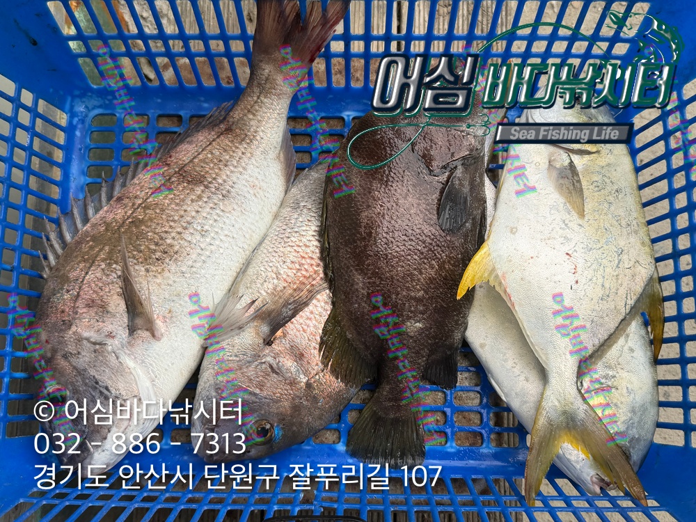 KakaoTalk_Photo_2026-09-14-20-16-58 002.jpeg
