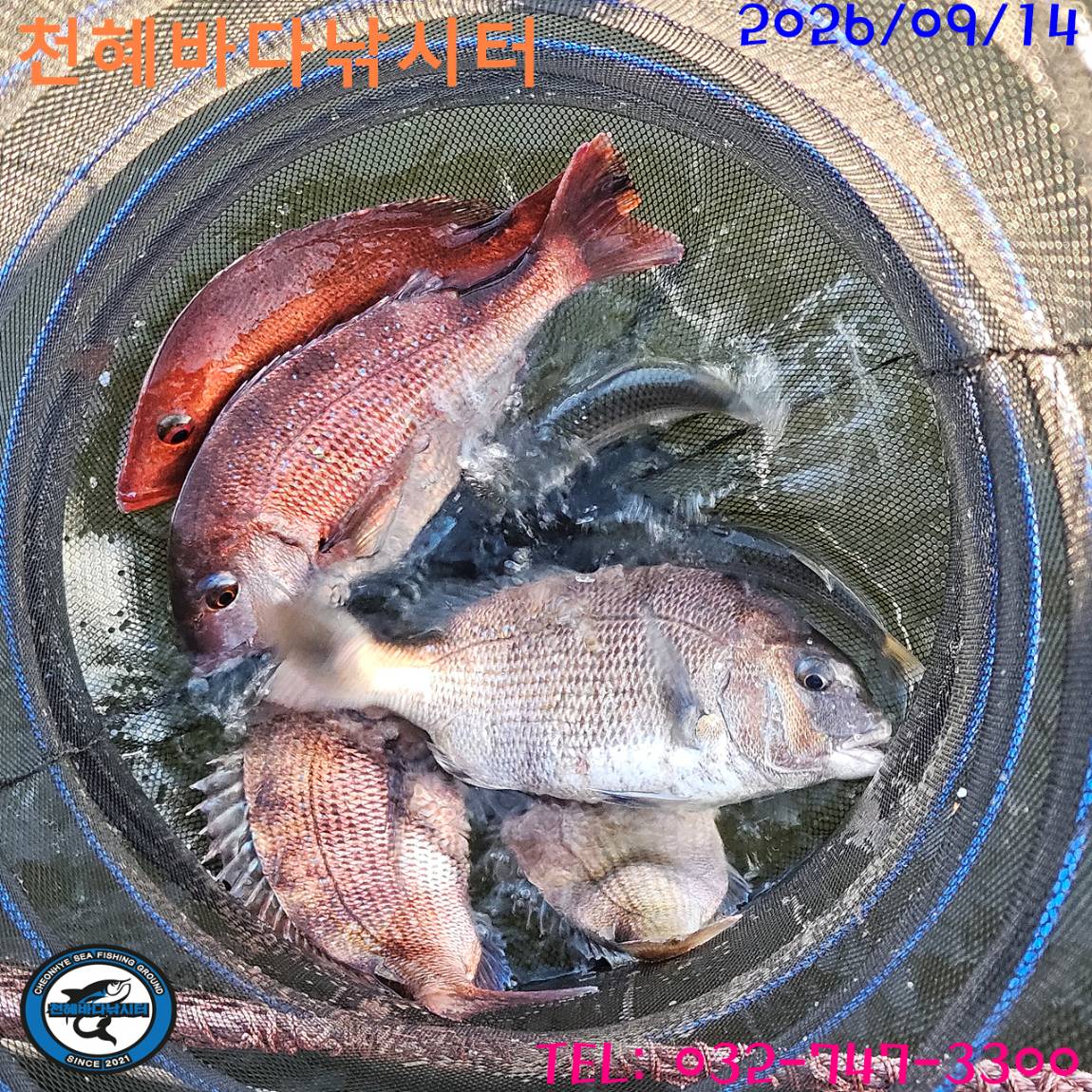 1789380662237.jpg