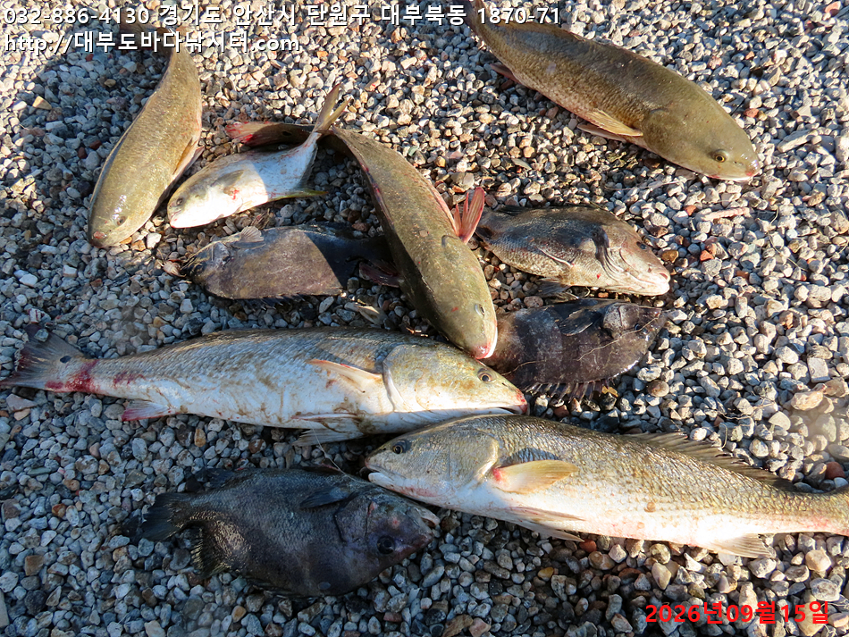 IMG_2567.jpg