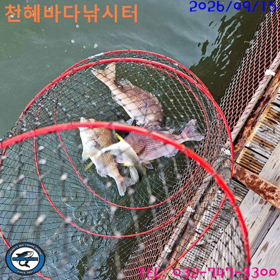 1789467057621.jpg