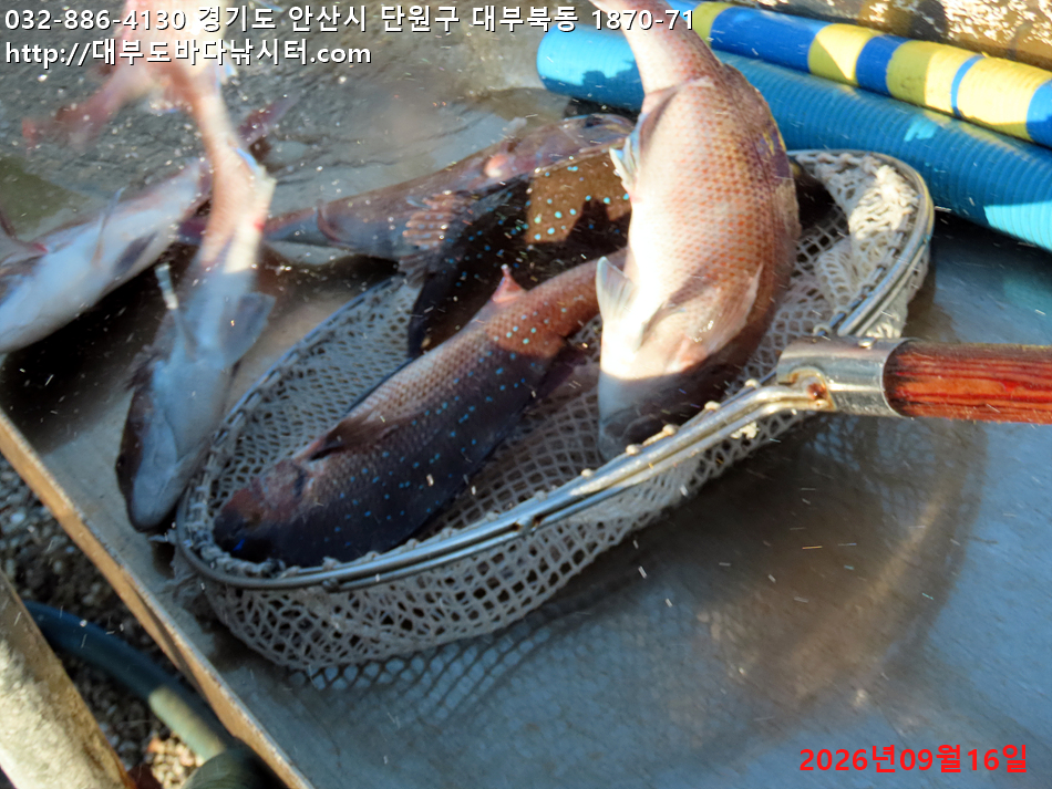 IMG_2609.jpg