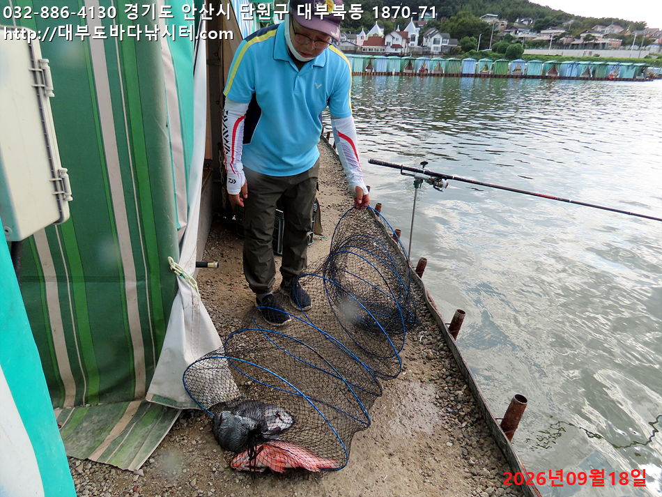 IMG_2695.jpg