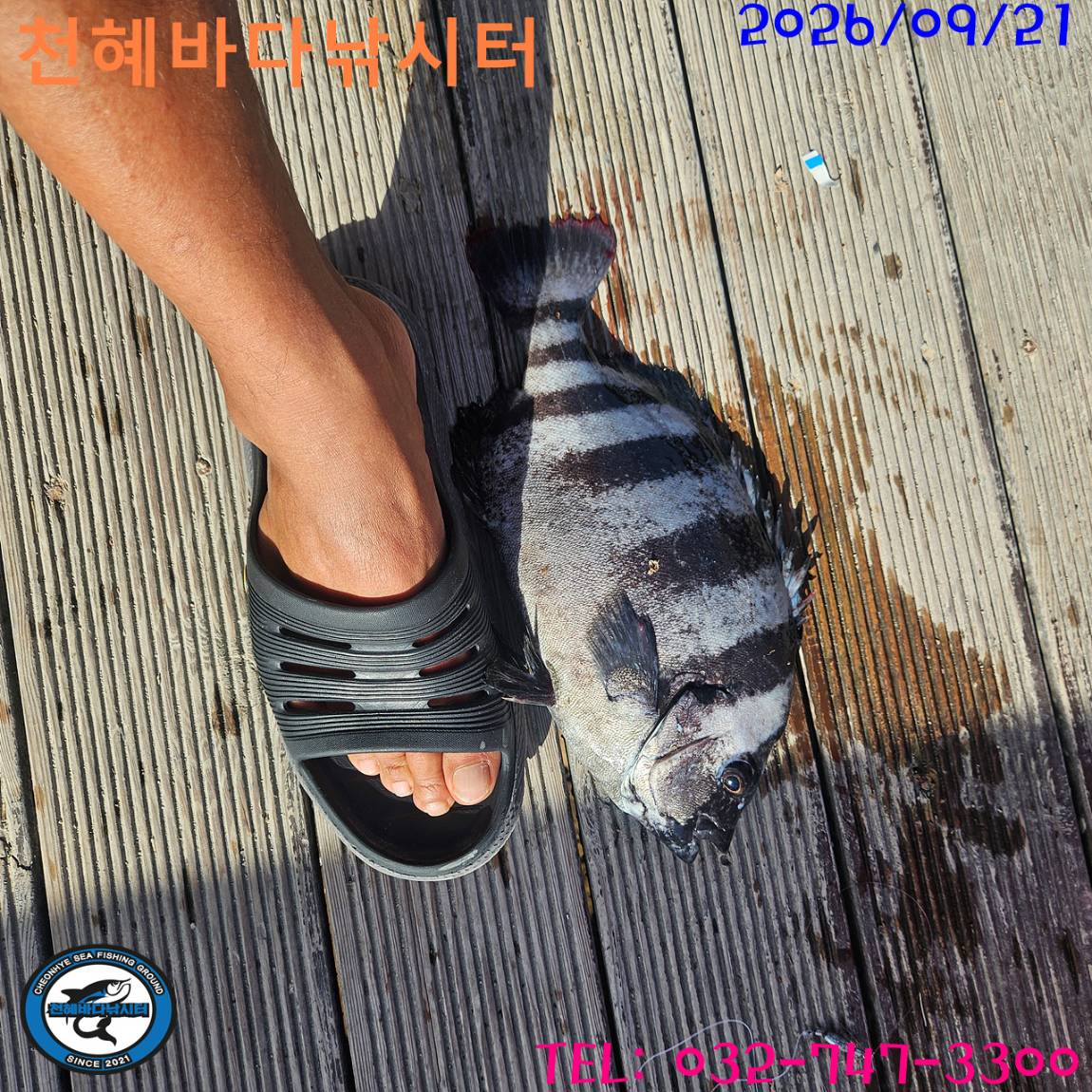 1789984870260.jpg