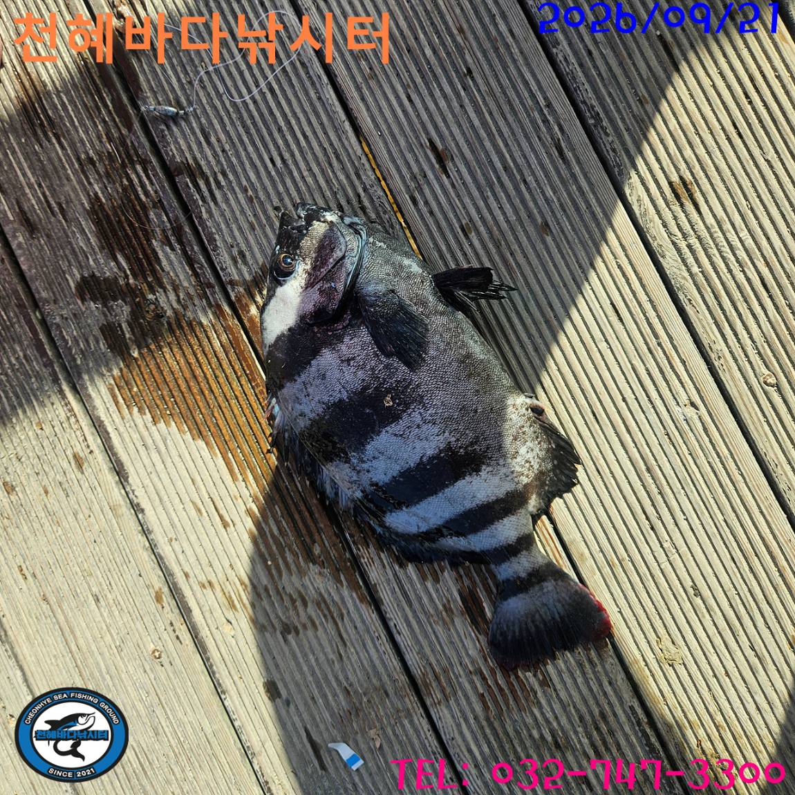 1789984870126.jpg