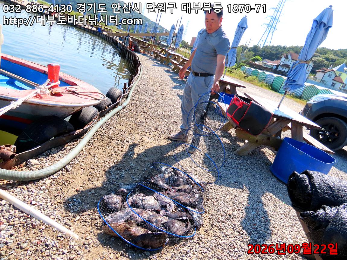 IMG_3013_962acfd38430e8f8_a06d1c7f4f501dde.jpg