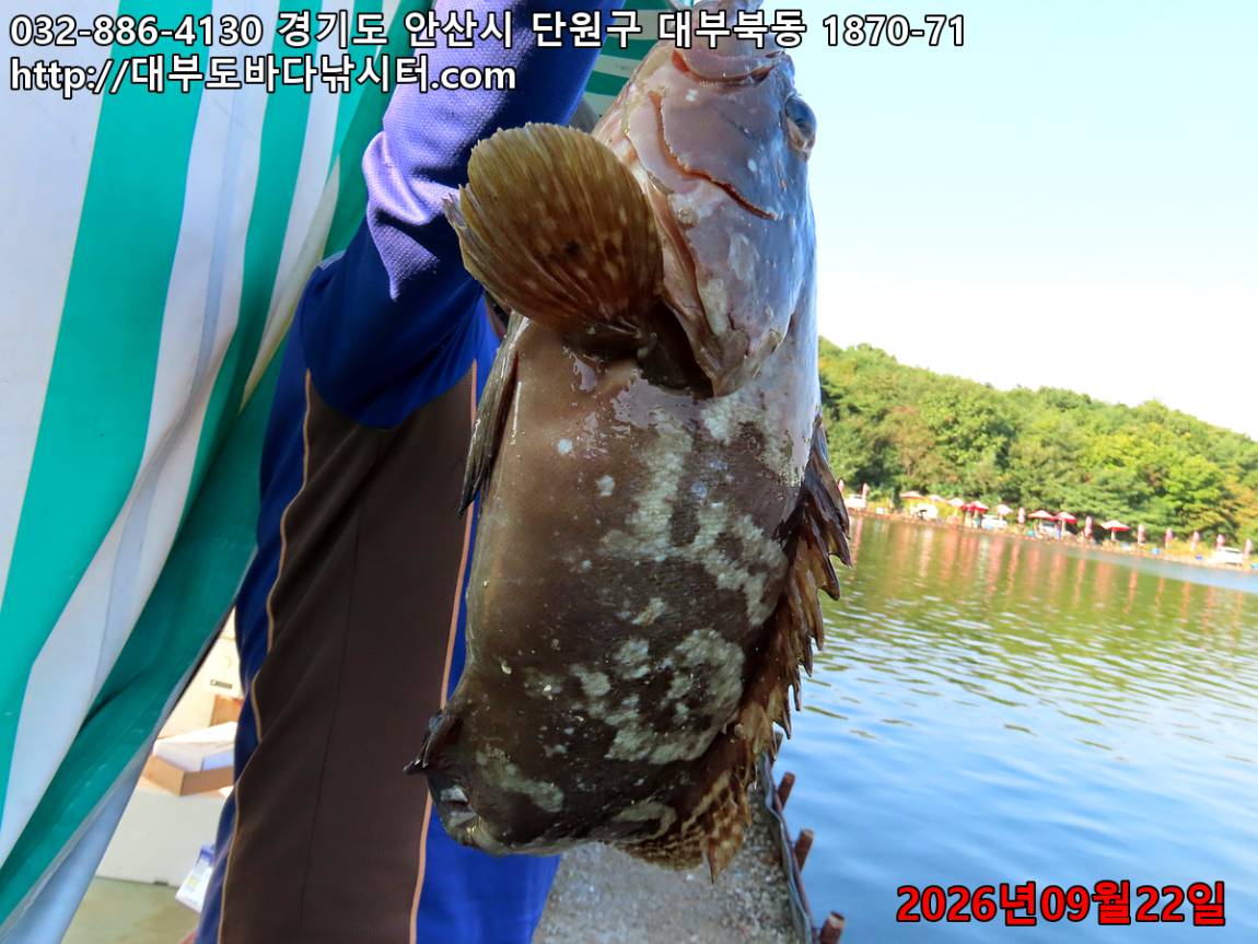 IMG_3024_9a37e5f0058e47b1_fcbb86985dd8e0e9.jpg