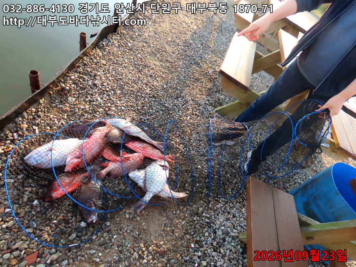 IMG_3030_ce9a3cf2eeef82a6_c13d74bd59c13e07.jpg