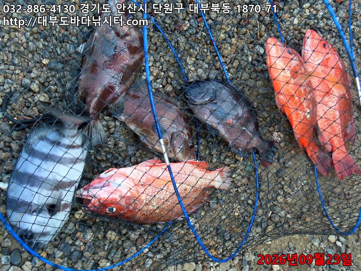 IMG_3037_79bc5dcad058d744_ee377586e5ad643a.jpg