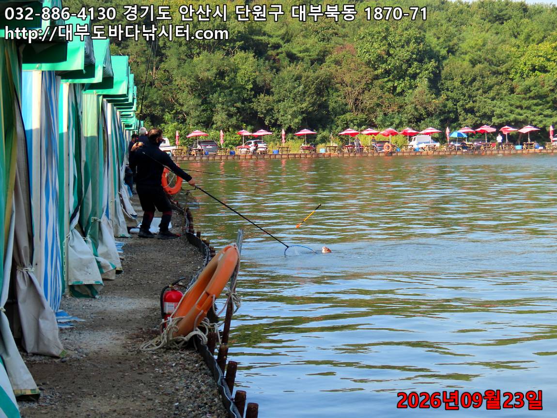 IMG_3041_0cef9e3e01f5a00f_88d423ab93a8af7e.jpg