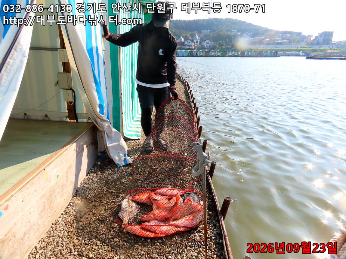 IMG_3058_238f49e7d1ced06a_871d7c38e556f023.jpg