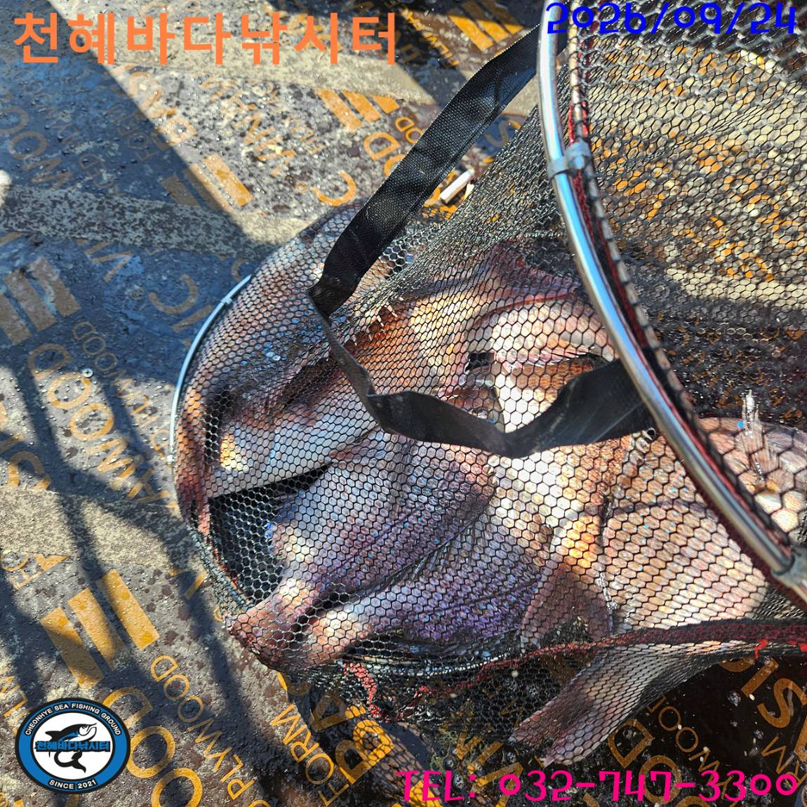 1790243828618.jpg
